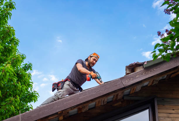Best Roof Maintenance and Cleaning  in Jacksonville, TX